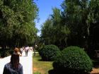 thumbs/IMG_3527.jpg