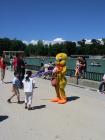thumbs/IMG_3536.jpg