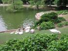 thumbs/IMG_3597.jpg