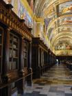thumbs/IMG_3793.jpg