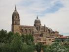 thumbs/IMG_4072.jpg