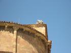 thumbs/IMG_4168.jpg