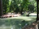 thumbs/IMG_4342.jpg