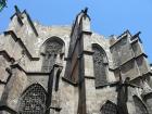 thumbs/IMG_4384.jpg