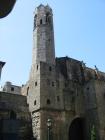 thumbs/IMG_4389.jpg