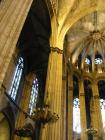 thumbs/IMG_4451.jpg
