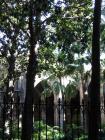 thumbs/IMG_4456.jpg