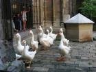 thumbs/IMG_4460.jpg