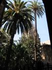 thumbs/IMG_4462.jpg