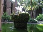 thumbs/IMG_4463.jpg