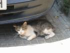 thumbs/IMG_4579.jpg