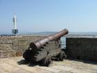 thumbs/IMG_4800.jpg