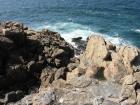 thumbs/IMG_4852.jpg