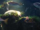 thumbs/IMG_4863.jpg