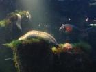 thumbs/IMG_4882.jpg