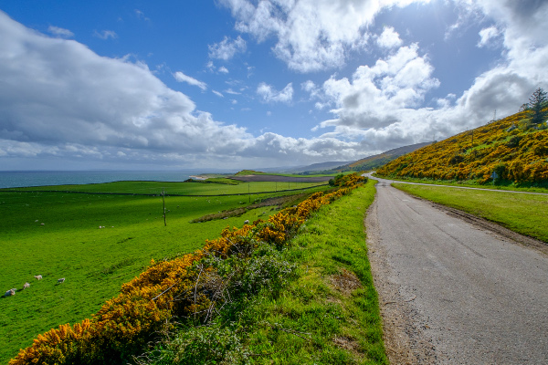 Farbenspiel Farbenspiel